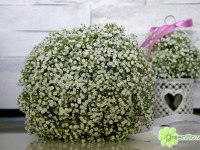 Kula z gips&oacute;wki