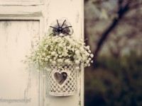 Bukiet z gips&oacute;wki